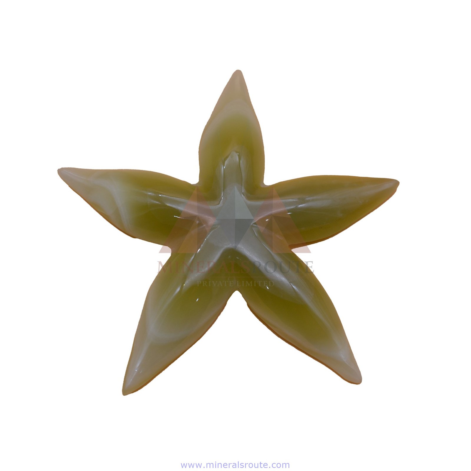 Star Fish Paper Weight